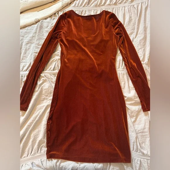 Bear Dance Velvet Bodycon Long Sleeve Mini Dress - Picture 5 of 6